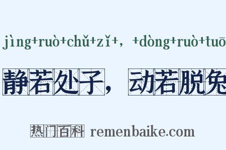 静若处子，动若脱兔是什么意思的图片
